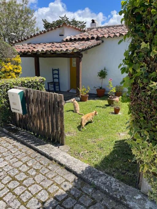 Ocean, Surf, Golf Private Villa With Pool Near Lagoon Casal do Narcizo Exterior photo