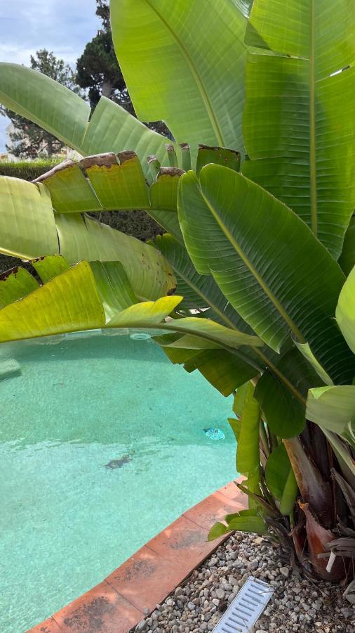 Ocean, Surf, Golf Private Villa With Pool Near Lagoon Casal do Narcizo Exterior photo